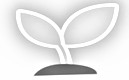 HTML5会互联网品牌行业的潮流技术吗?
