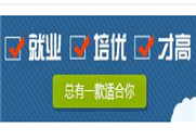 Python，你能用它做什么事?