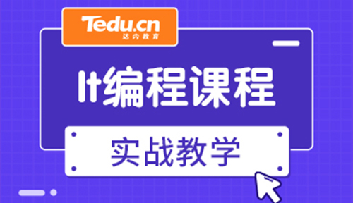 it里面哪个专业比较好